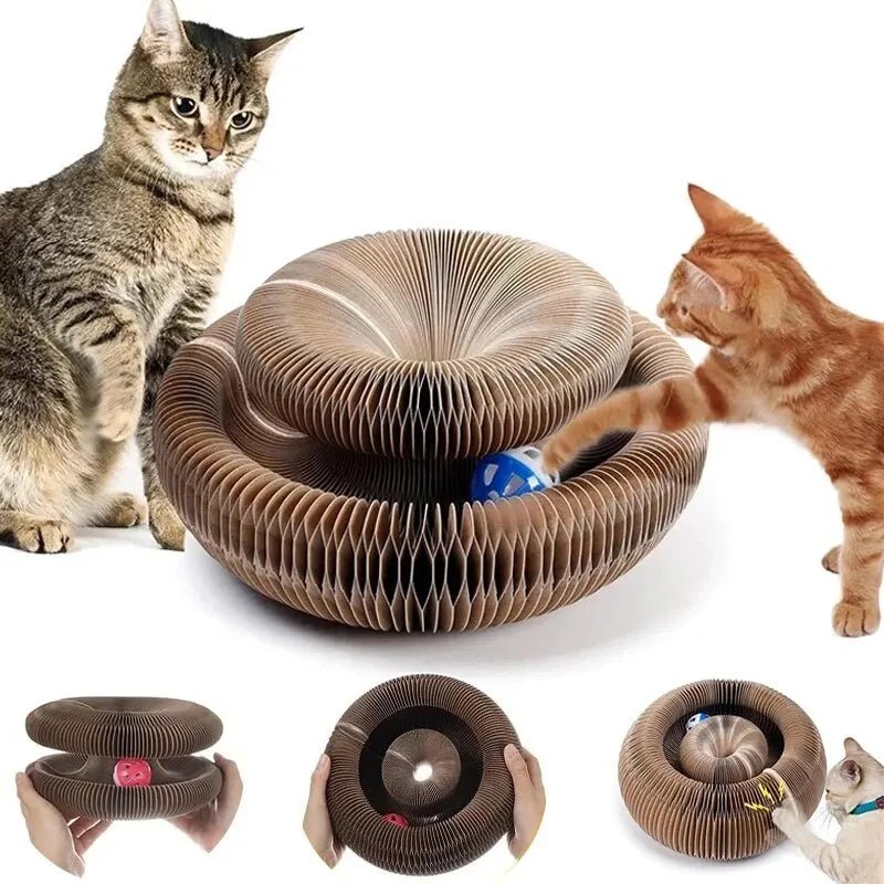 Arranhador Mágico Brinquedo Interativo para Gatos - Amor PetShop