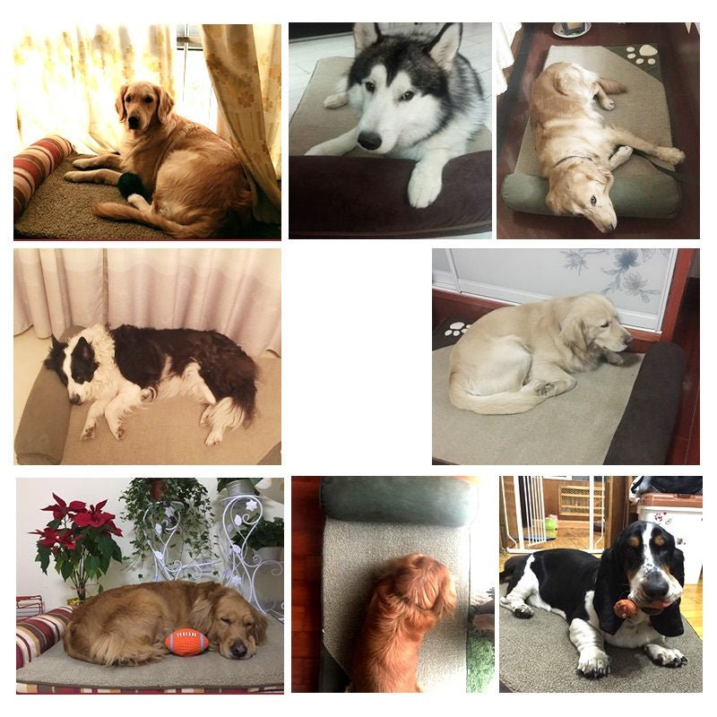 Cama Ortopédica Teddy para Cães - Amor PetShop