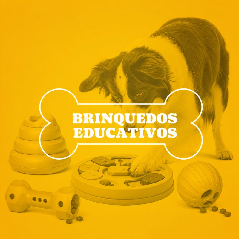 Brinquedos Educativos