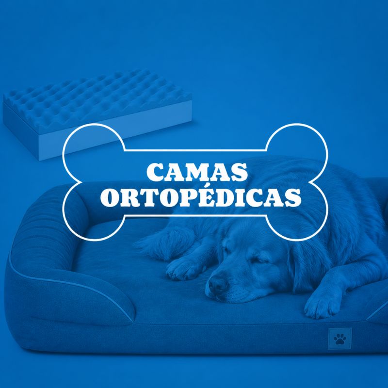 Cama Ortopédica