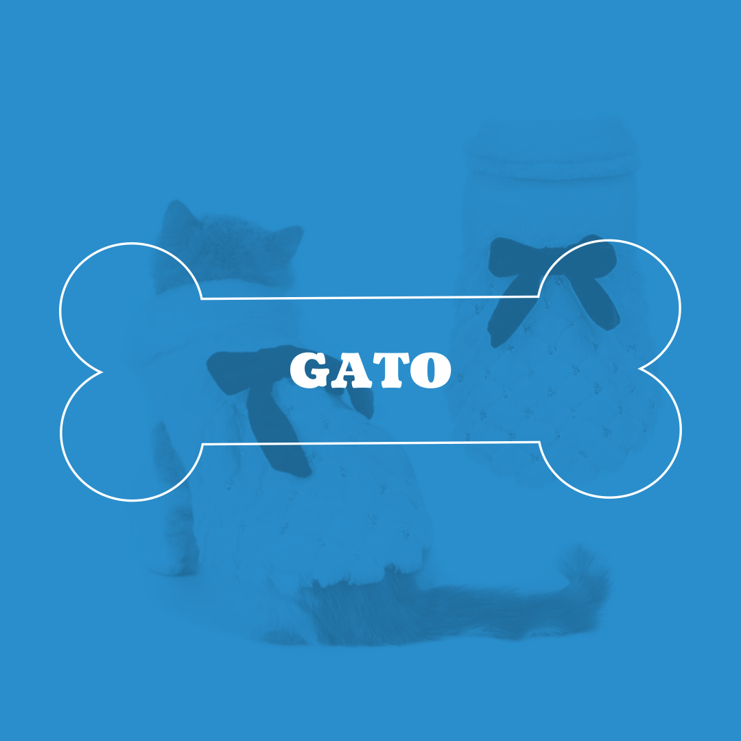 Gato - Amor PetShop