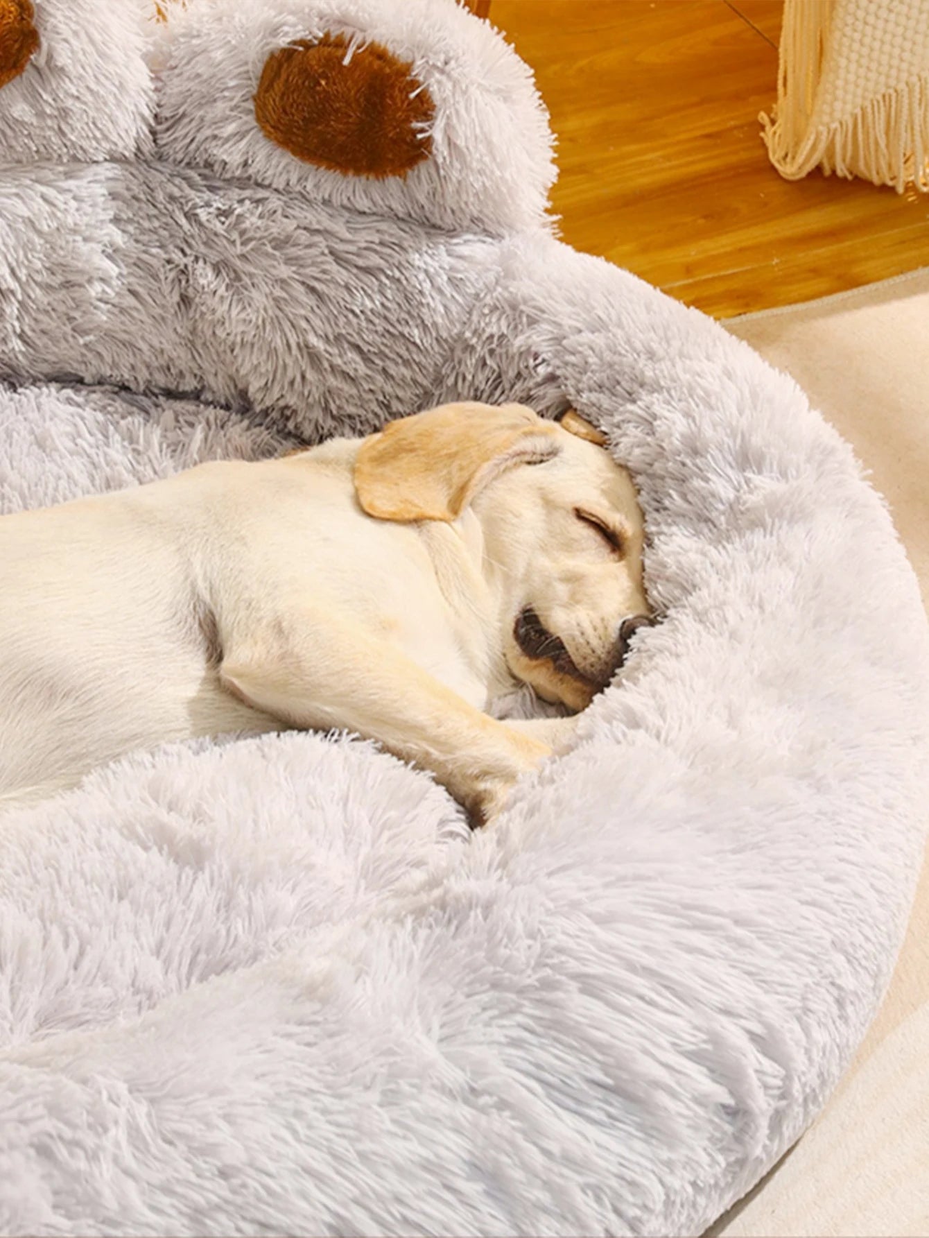 Cama PataCare Ortopédica Antialérgica para Cães e Gatos