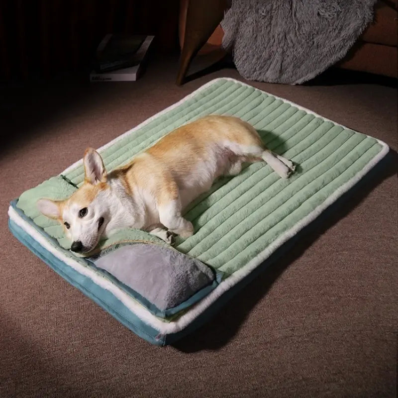Cama Ortopédica Comfort Plus para Cães Premium