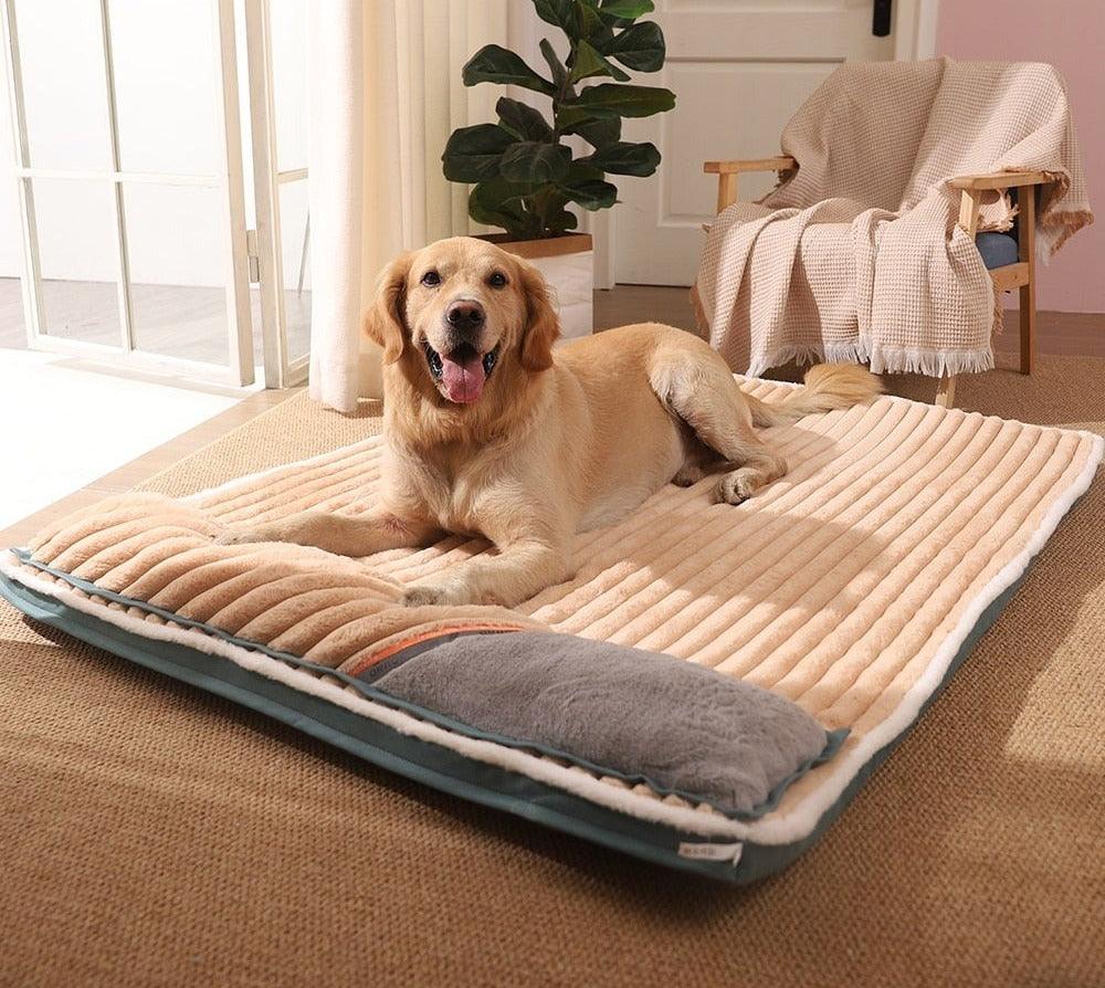 Cama Confort para Cães Care Premium - Amor PetShop