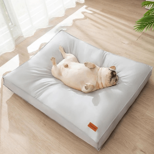 Cama Ortopédica para Cães AquaConforto Premium Impermeável - Amor PetShop