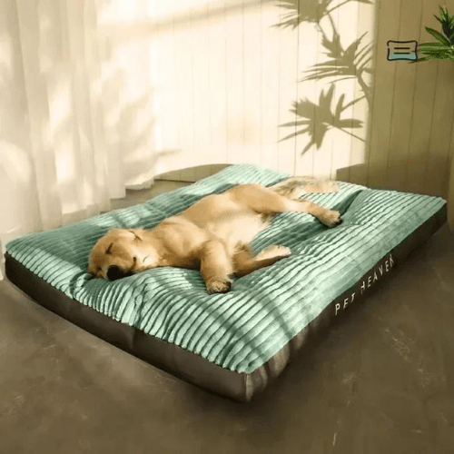 Cama Ortopédica para Cães e Gatos ConfortoMaxi Lavável - Amor PetShop