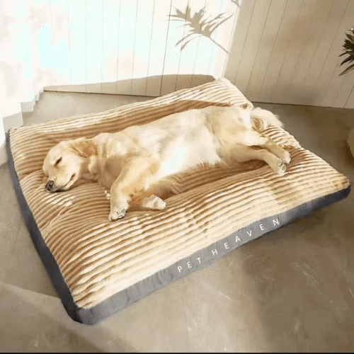 Cama Ortopédica para Cães e Gatos ConfortoMaxi Lavável - Amor PetShop