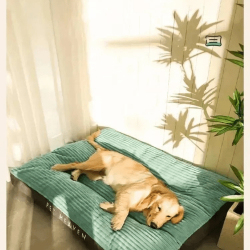 Cama Ortopédica para Cães e Gatos ConfortoMaxi Lavável - Amor PetShop