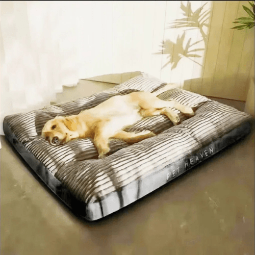 Cama Ortopédica para Cães e Gatos ConfortoMaxi Lavável - Amor PetShop