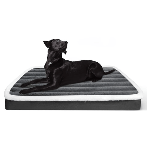 Cama Ortopédica para Cães OrthoZip Comfort com Zíper - Colchão Removível e Lavável - Amor PetShop