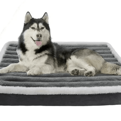 Cama Ortopédica para Cães OrthoZip Comfort com Zíper - Colchão Removível e Lavável - Amor PetShop