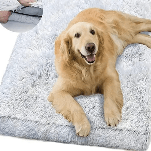 PlushConfort Ortho: Cama Ortopédica para Cães e Gatos Ultra Macia - Almofada Acalmante Removível - Amor PetShop