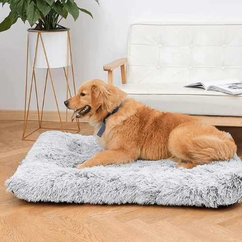PlushConfort Ortho: Cama Ortopédica para Cães e Gatos Ultra Macia - Almofada Acalmante Removível - Amor PetShop