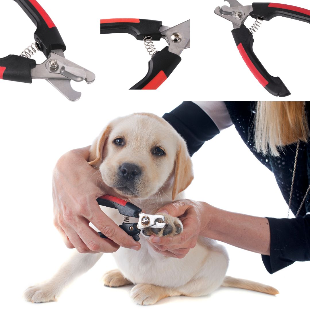Alicate Emborrachado Cortador de Unhas para Cães e Gatos PetNails - Amor PetShop