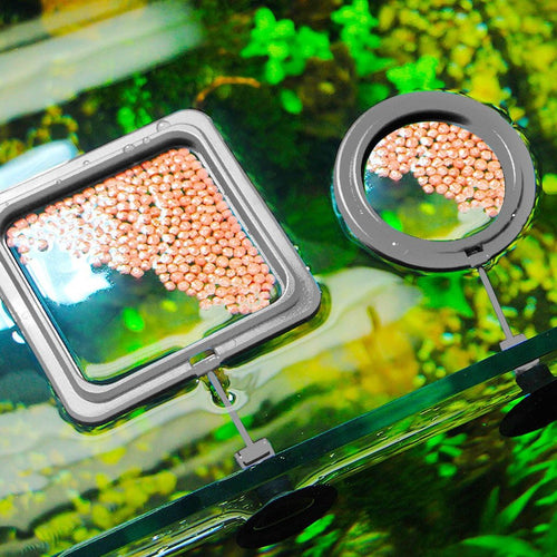 Alimentador Flutuante de Aquário - Amor PetShop