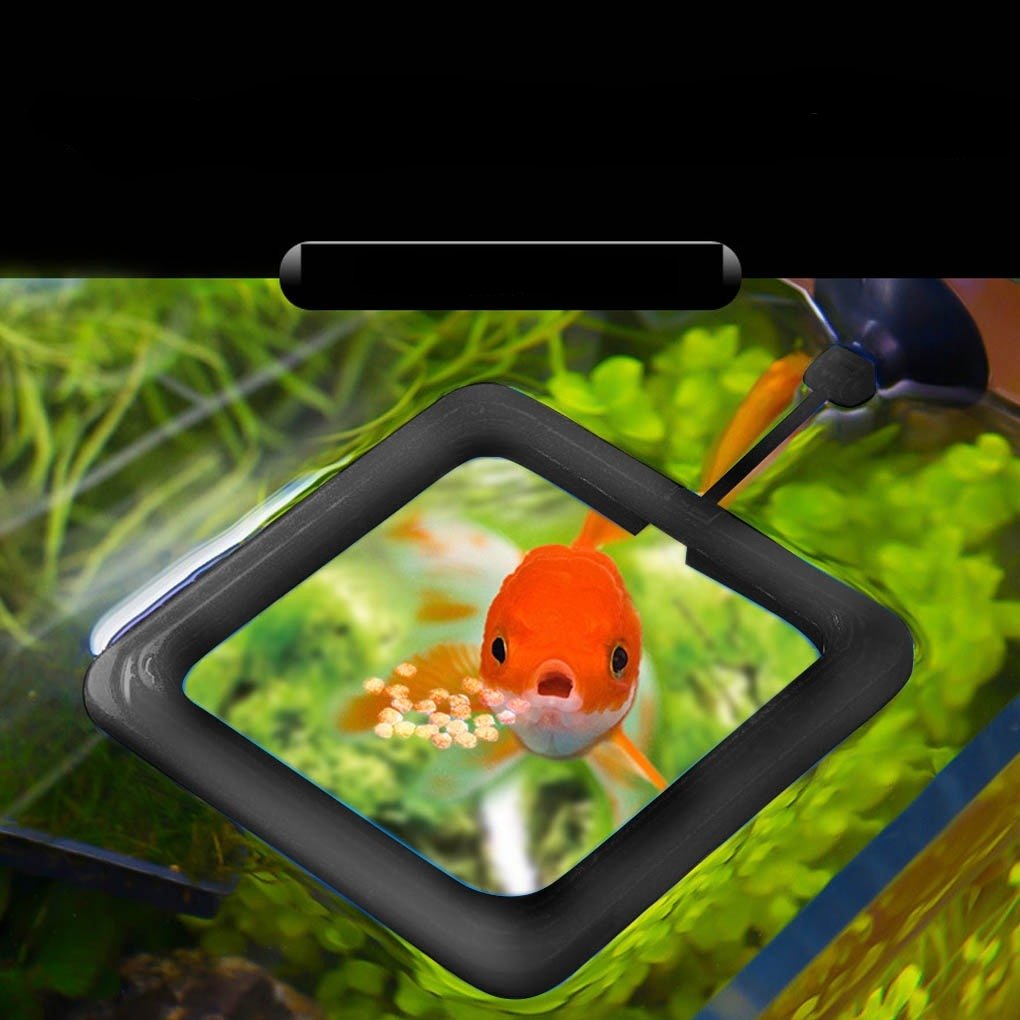 Alimentador Flutuante de Aquário - Amor PetShop