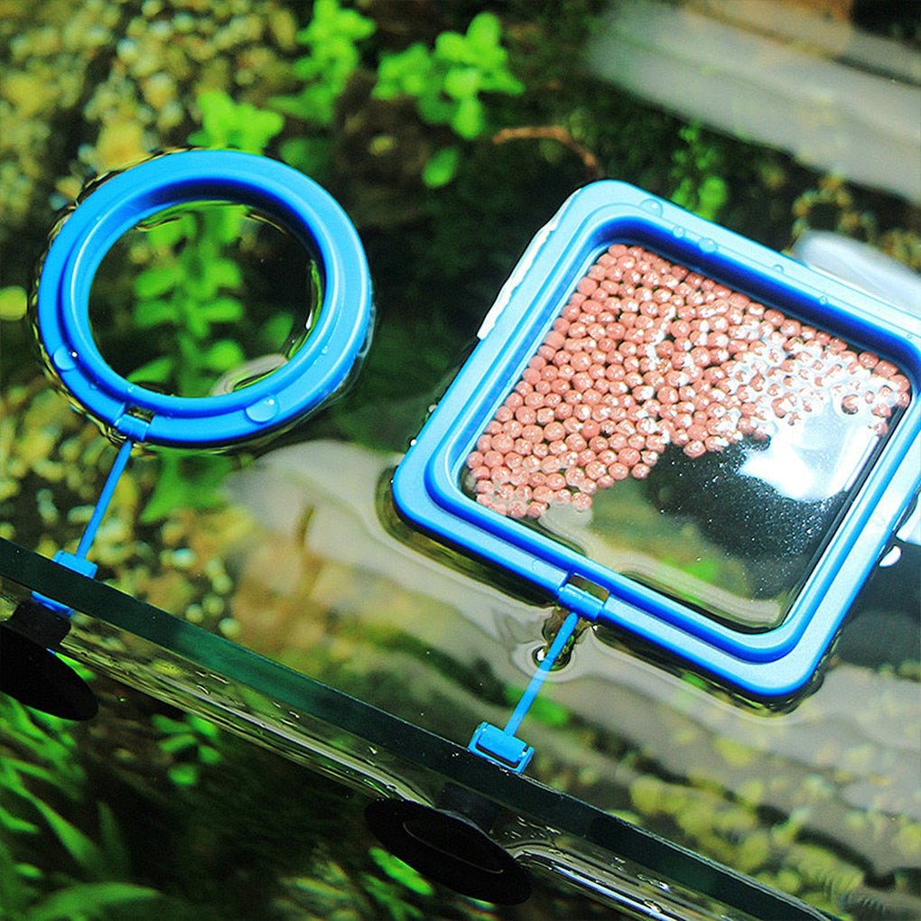Alimentador Flutuante de Aquário - Amor PetShop