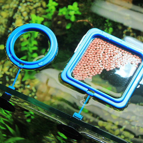 Alimentador Flutuante de Aquário - Amor PetShop