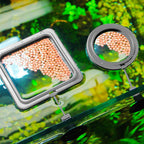 Alimentador Flutuante de Aquário - Amor PetShop