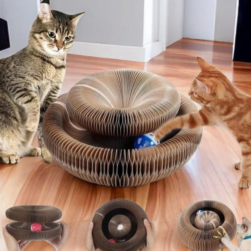 Arranhador Mágico Brinquedo Interativo para Gatos - Amor PetShop