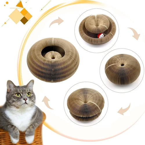 Arranhador Mágico Brinquedo Interativo para Gatos - Amor PetShop