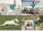 Bandana Refrescante Ice Summer - Amor PetShop