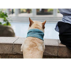 Bandana Refrescante Ice Summer - Amor PetShop