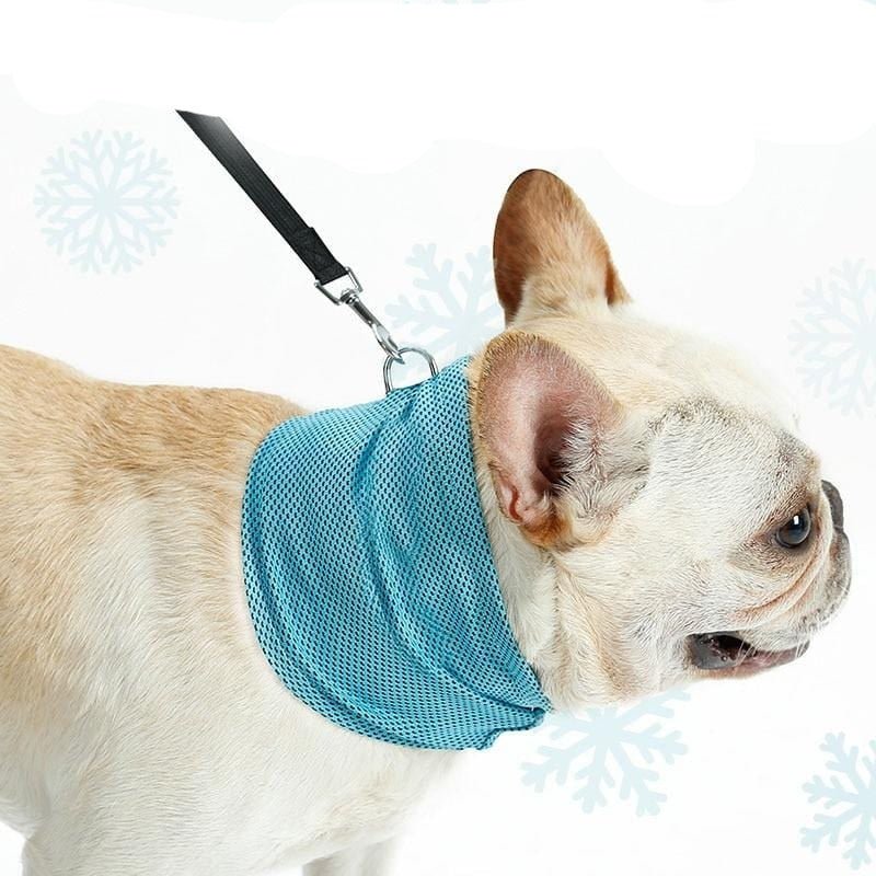 Bandana Refrescante Ice Summer - Amor PetShop