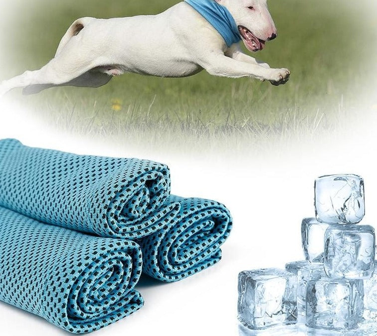 Bandana Refrescante Ice Summer - Amor PetShop