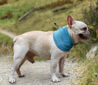 Bandana Refrescante Ice Summer - Amor PetShop