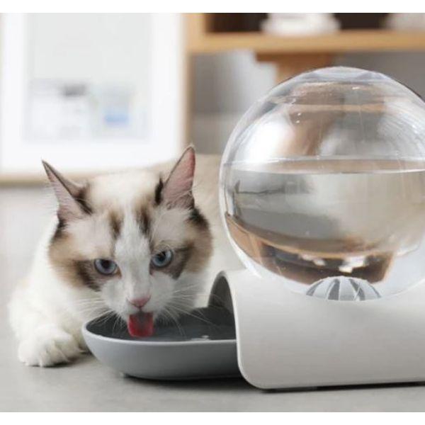 Bebedouro Bubble® - Amor PetShop