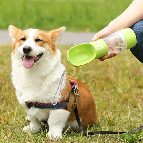 Bebedouro e Alimentador Portátil LOVE para Cães e Gatos - Amor PetShop
