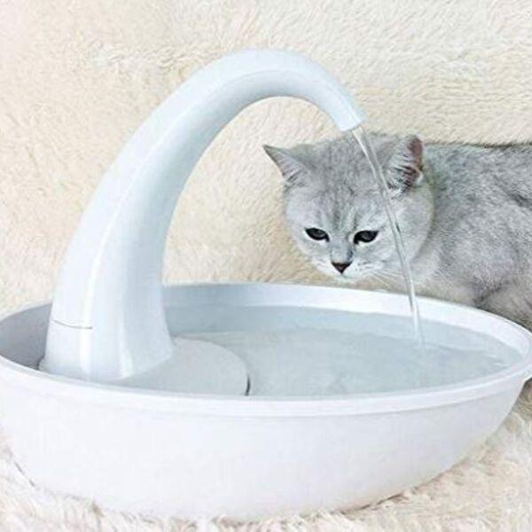 Bebedouro Fonte Cisne - Amor PetShop