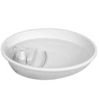 Bebedouro Fonte Cisne - Amor PetShop