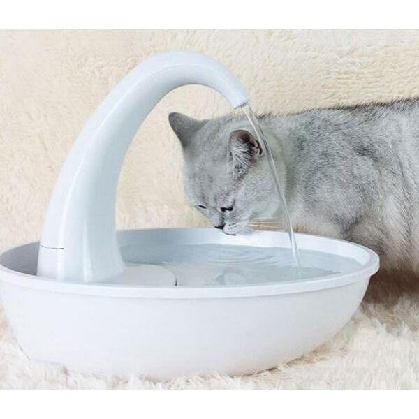 Bebedouro Fonte Cisne - Amor PetShop