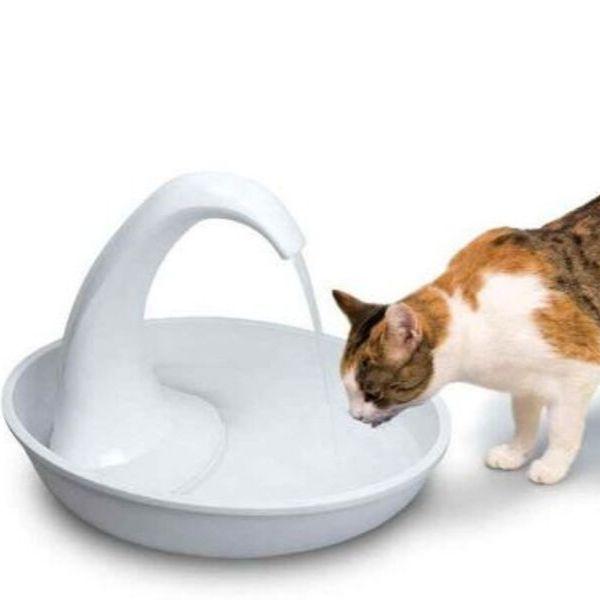 Bebedouro Fonte Cisne - Amor PetShop