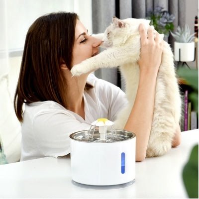 Bebedouro Fonte INOVA Automática com Filtro para Cães e Gatos - Amor PetShop