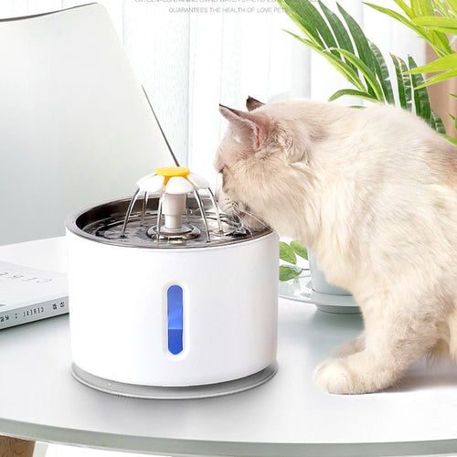Bebedouro Fonte INOVA Automática com Filtro para Cães e Gatos - Amor PetShop