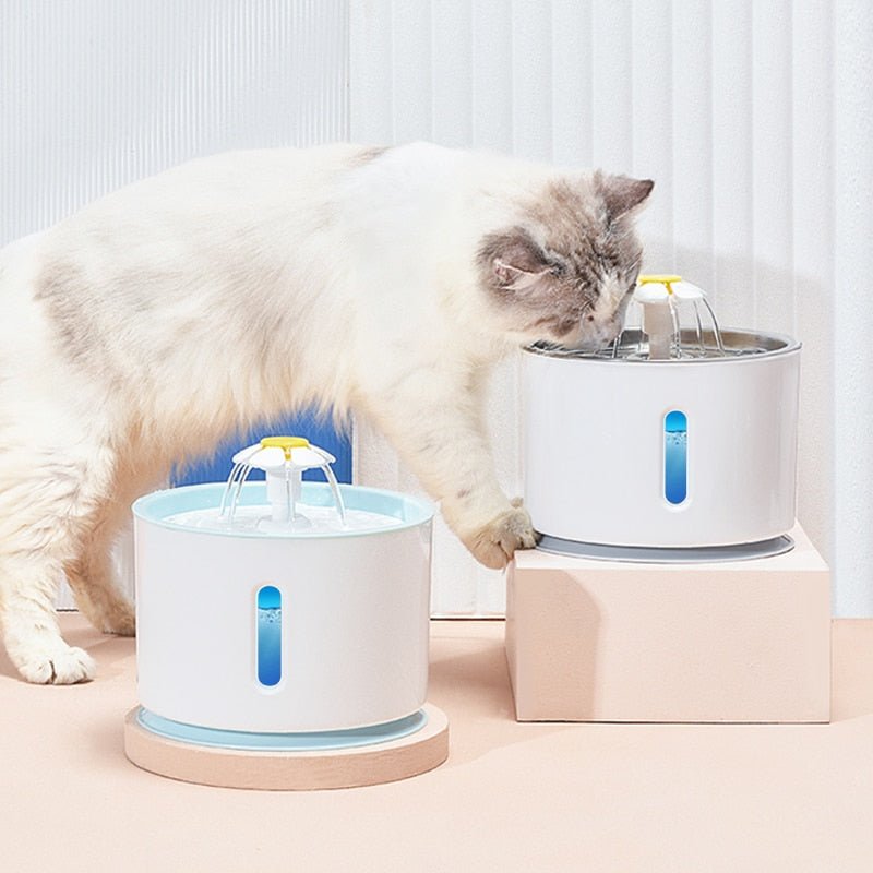 Bebedouro Fonte INOVA Automática com Filtro para Cães e Gatos - Amor PetShop