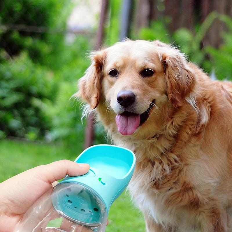 Bebedouro Portátil para Cães ChicDog 350ml - Amor PetShop