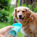 Bebedouro Portátil para Cães ChicDog 350ml - Amor PetShop