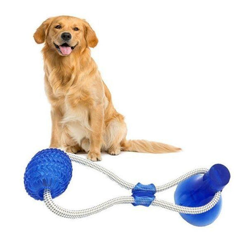 Bola Interativa Tug Toy - Amor PetShop