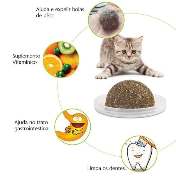 Bolinha Prensada de CATNIP Amor - Amor PetShop