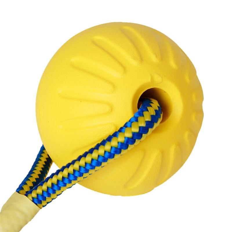 Brinquedo Bola e Corda para Treinamento de Cães - Amor PetShop