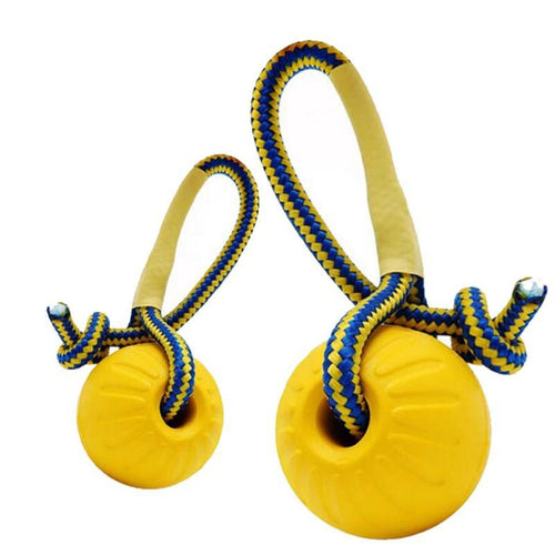Brinquedo Bola e Corda para Treinamento de Cães - Amor PetShop