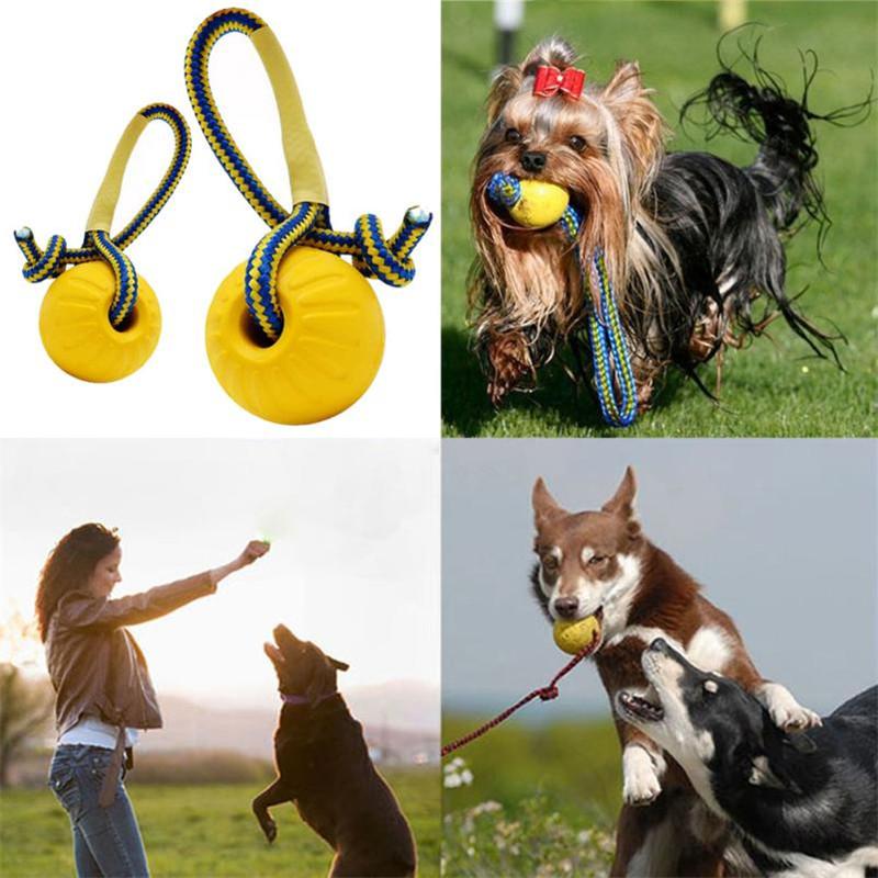 Brinquedo Bola e Corda para Treinamento de Cães - Amor PetShop