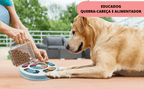Brinquedo Educativo EDUCADOG Quebra-cabeça e Alimentador Lento - Amor PetShop