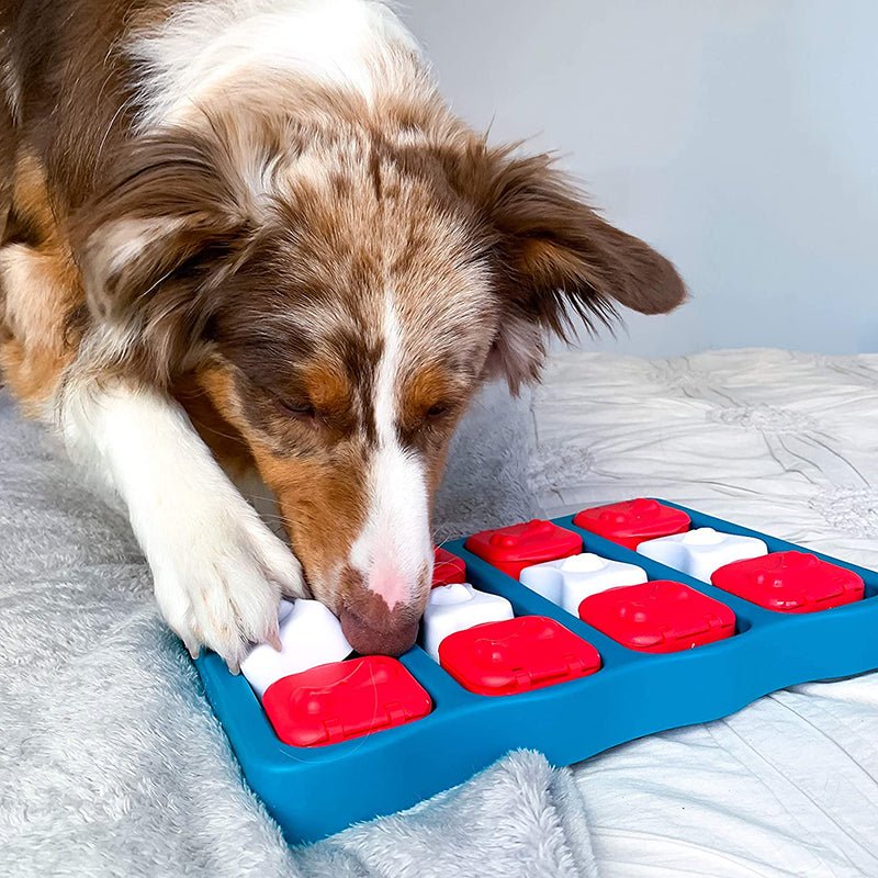 Brinquedo Educativo PIKPIK Quebra-cabeça e Alimentador Lento - Amor PetShop