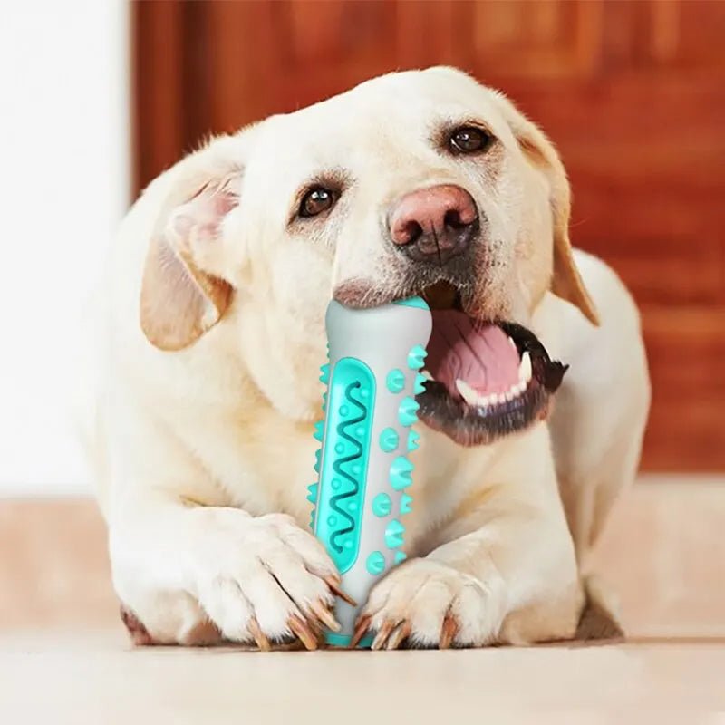 Brinquedo Interativo Multifuncional Toothbrush - Amor PetShop