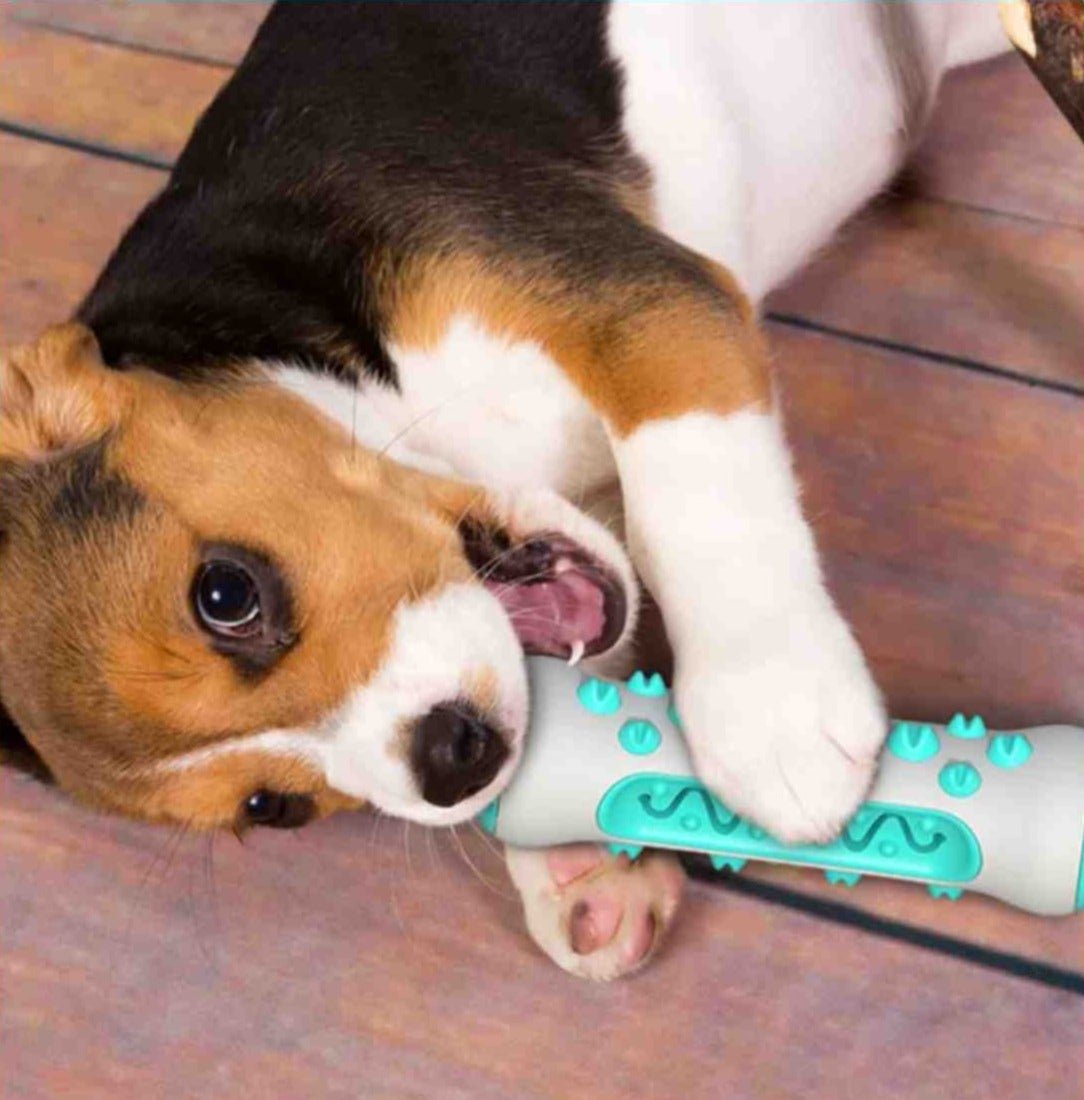 Brinquedo Interativo Multifuncional Toothbrush - Amor PetShop